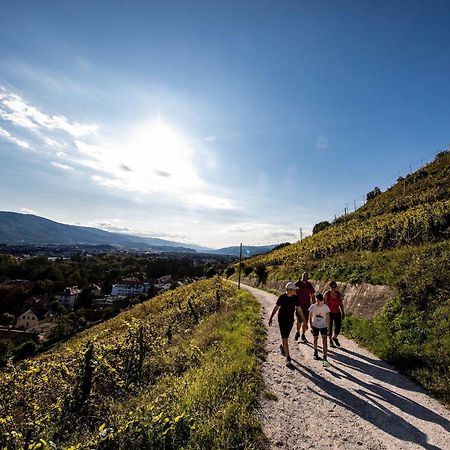 Kavenija Apartmaji - Free Parking Maribor Buitenkant foto