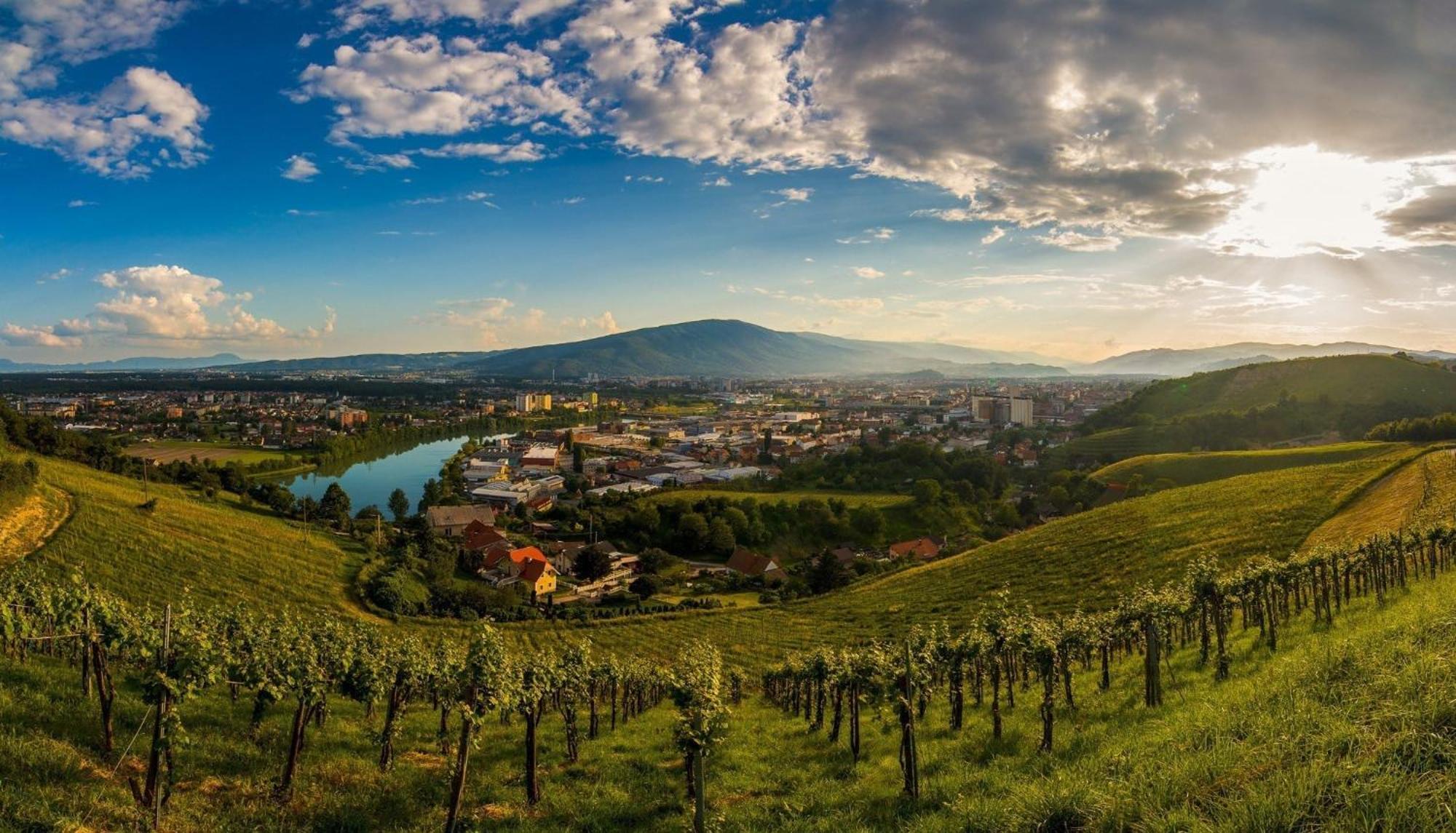Kavenija Apartmaji - Free Parking Maribor Buitenkant foto