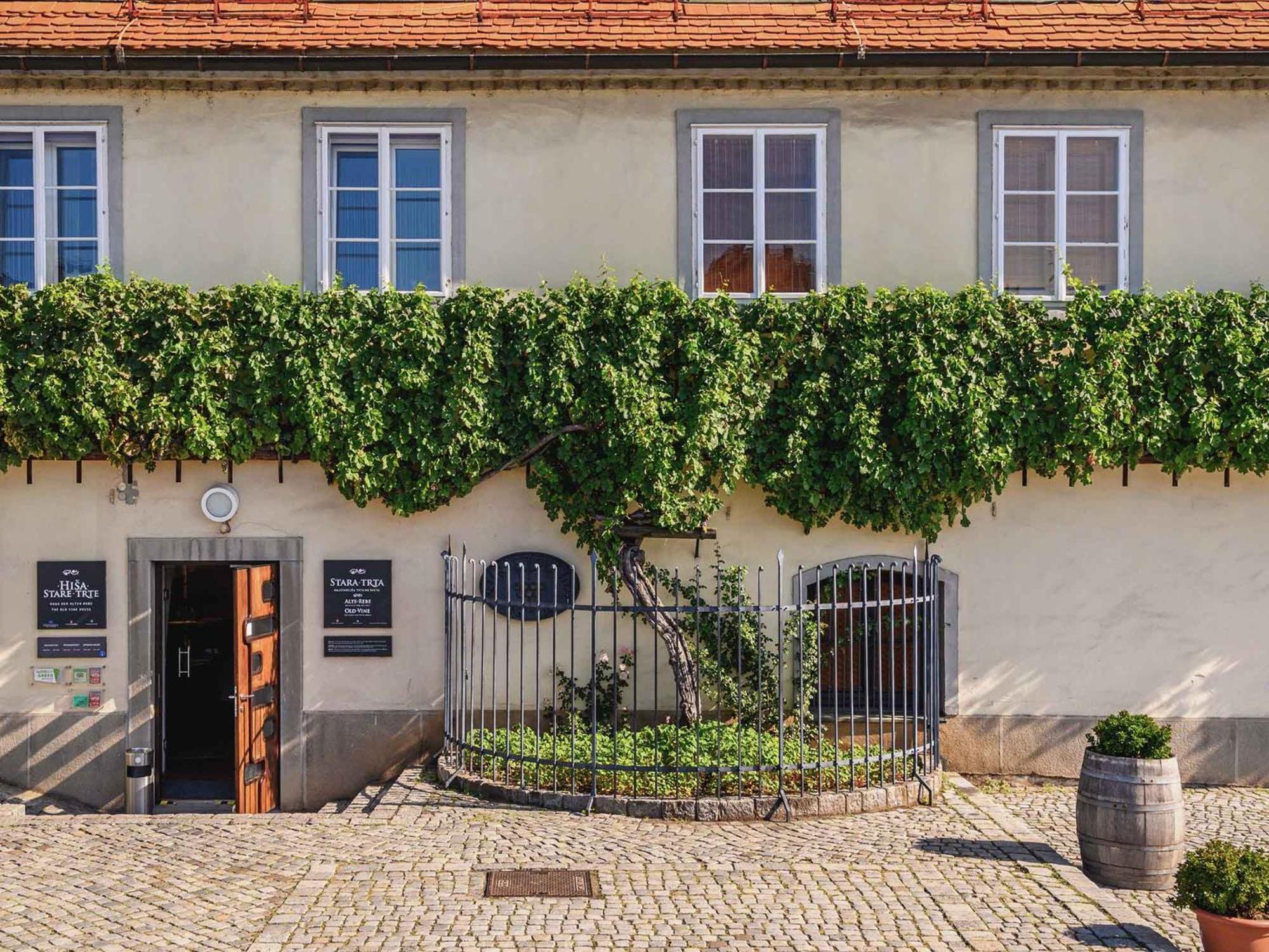 Kavenija Apartmaji - Free Parking Maribor Buitenkant foto