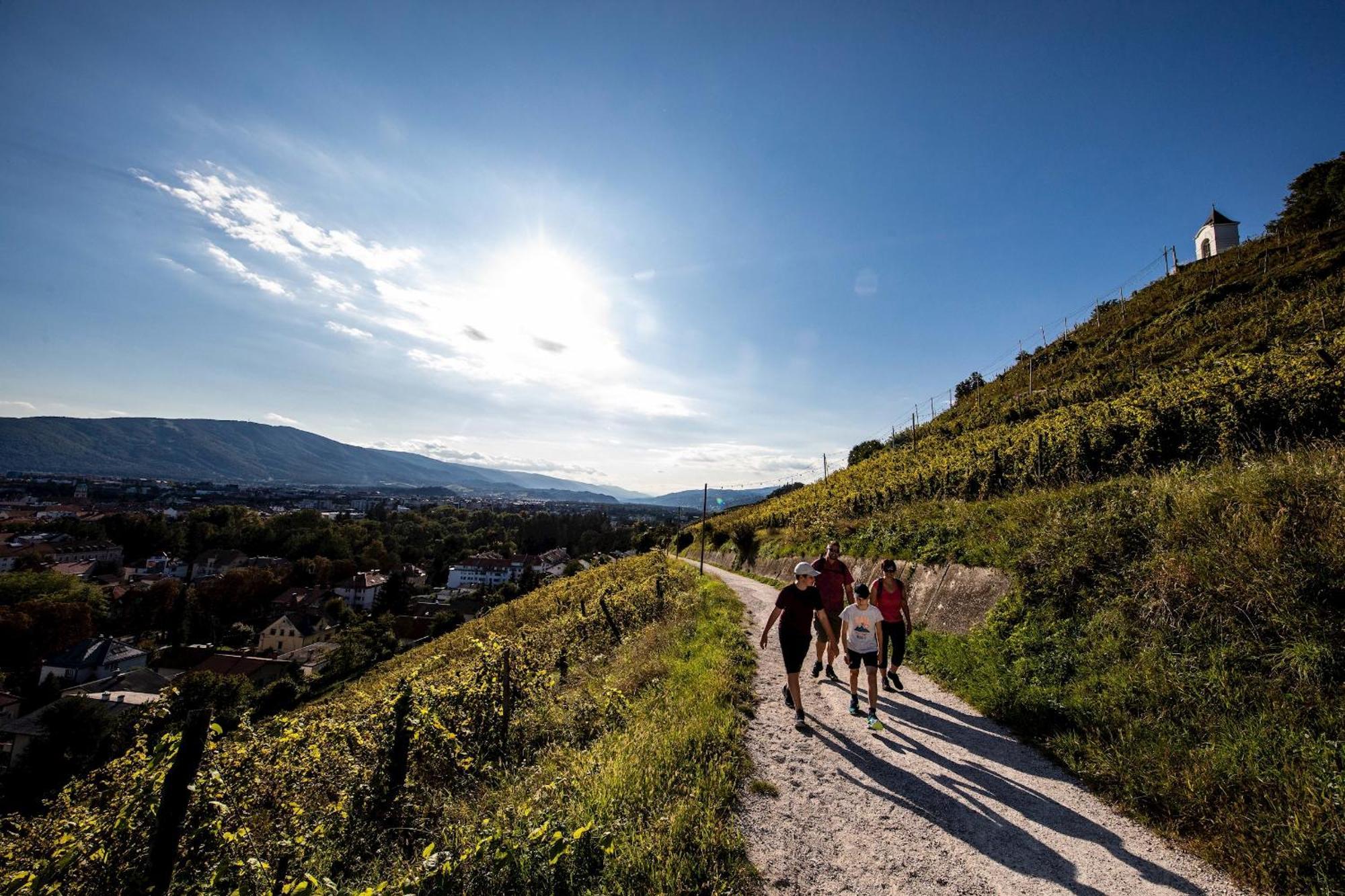 Kavenija Apartmaji - Free Parking Maribor Buitenkant foto